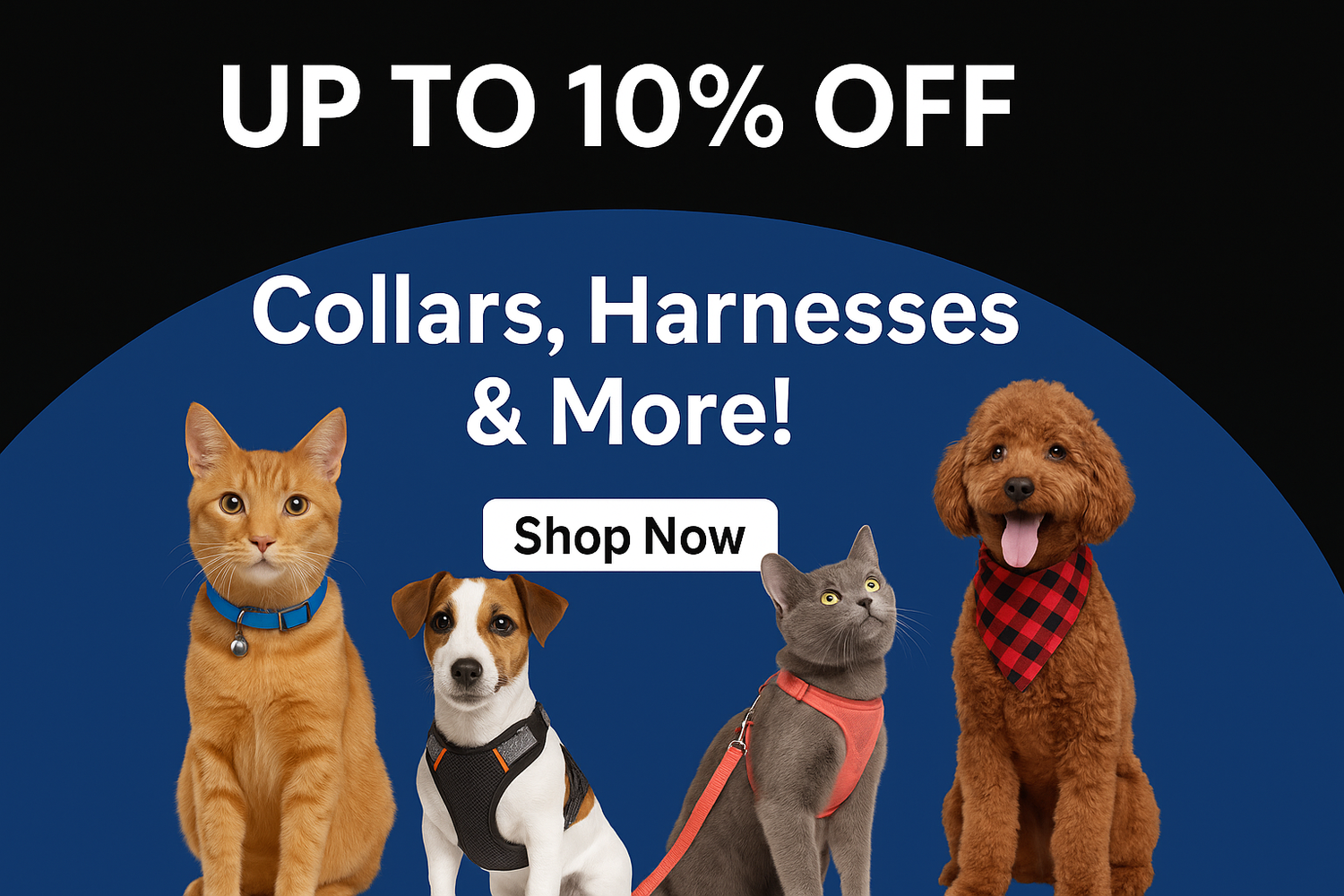 🔟 For 10% OFF Collection